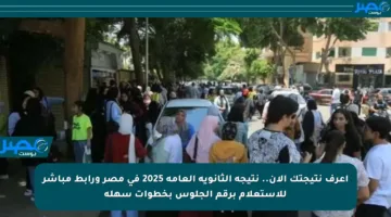 اعرف نتيجتك الآن.. نتيجة الثانوية العامة 2025 في مصر ورابط مباشر للاستعلام برقم الجلوس بخطوات سهلة